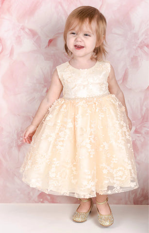 ADO Michelle Lace Dress